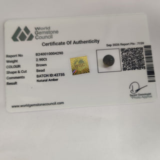 Amber lab certificate 12